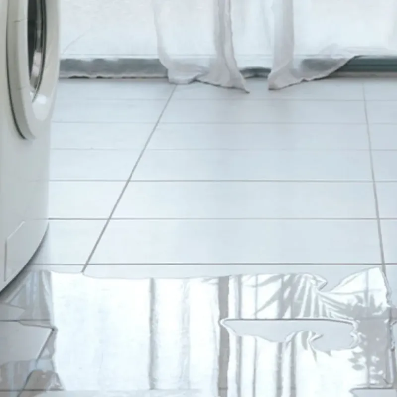 Appliance Leak Cleanup in Dwight, IL