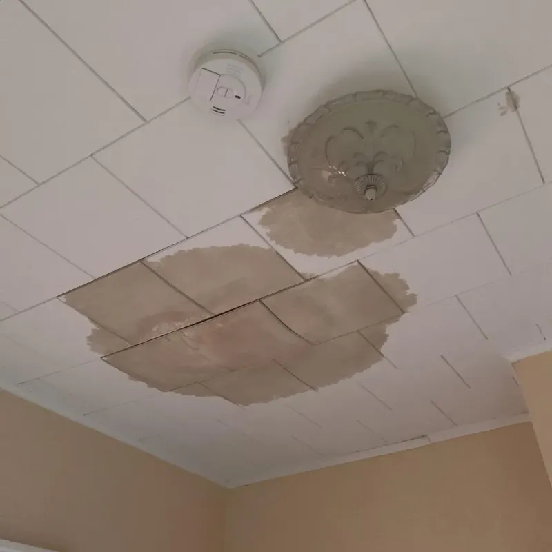 Ceiling Water Damage Repair in Dwight, IL