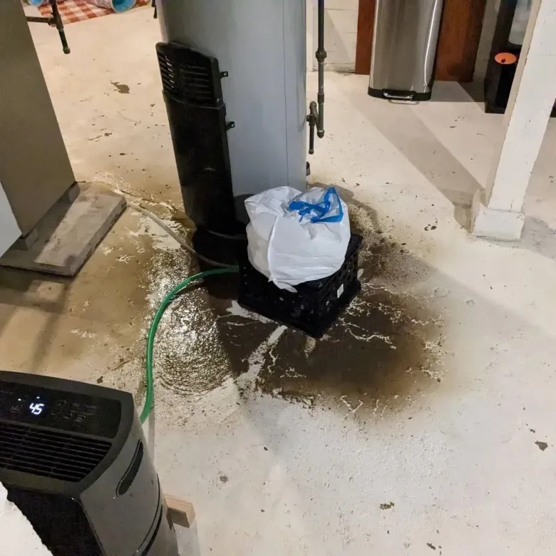 Sewage Backup Cleanup Service in Dwight, IL